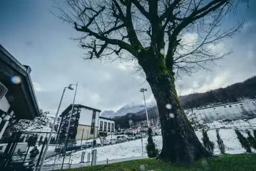 Guest House Alpika: фото 3