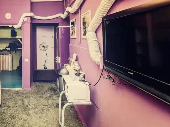 Tnt Hostel Moscow: фото 3
