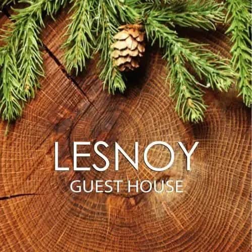 Lesnoy Guest House: фото 3