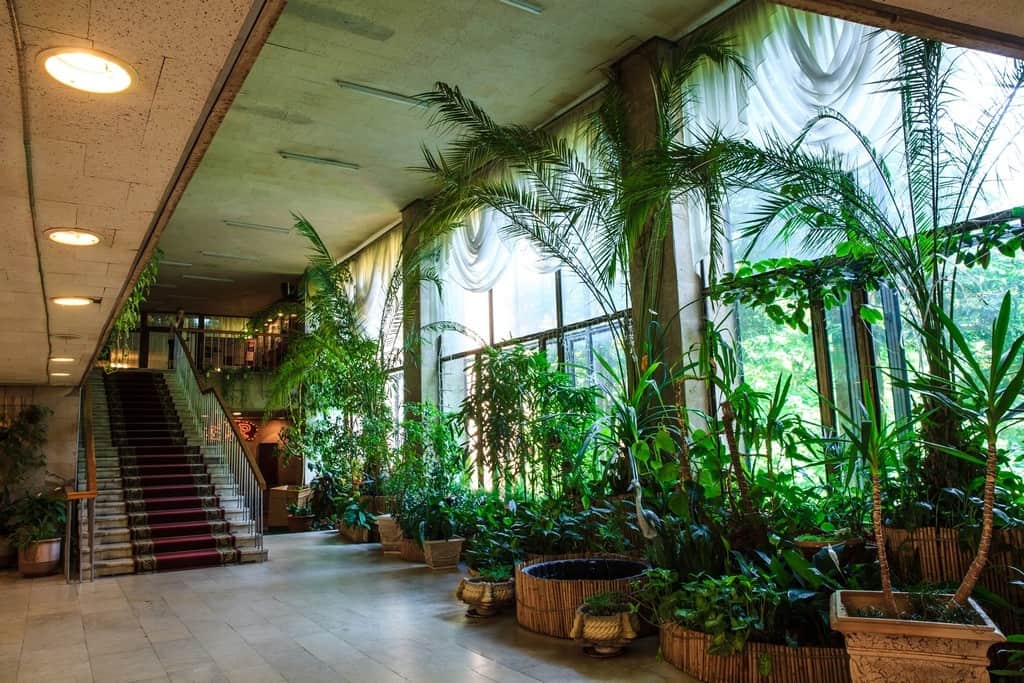 Zvenigorodskiy Sanatorium: фото 3