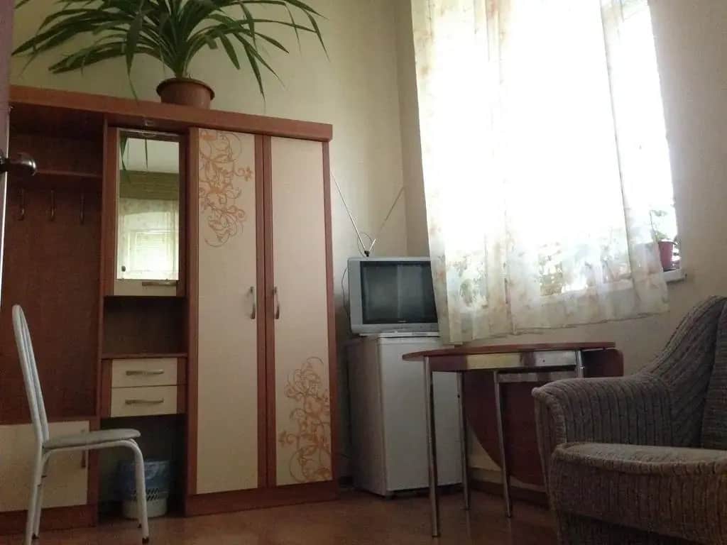 Дама с собачкой: фото 2