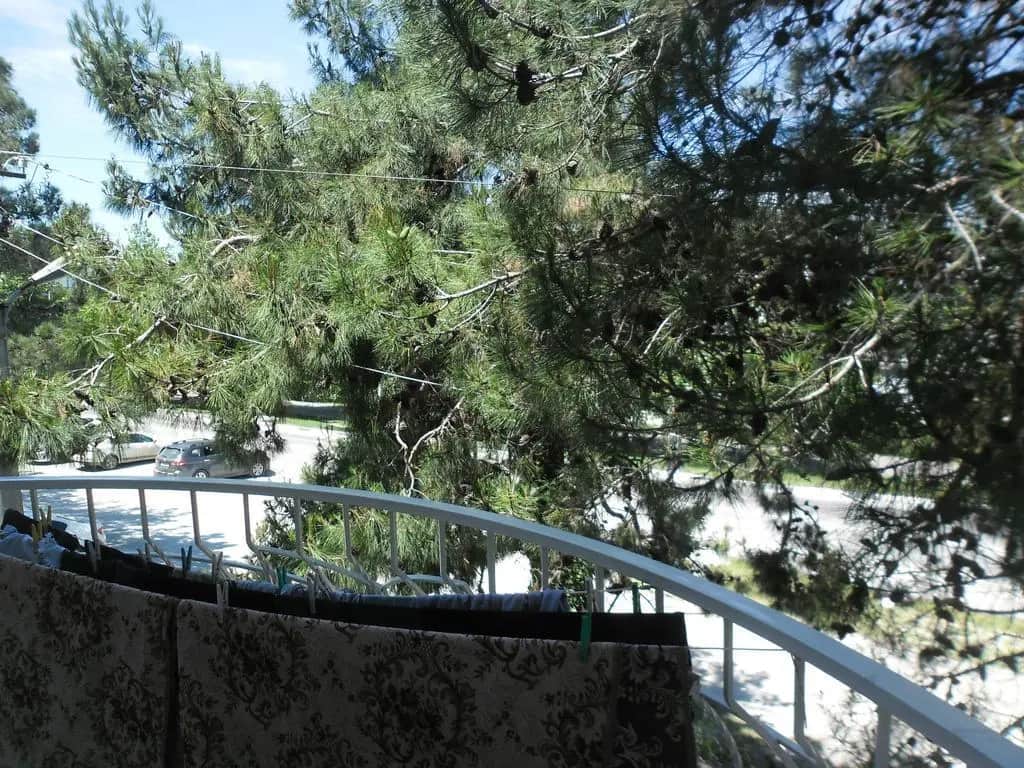 Guest house Bely Zamok: фото 3