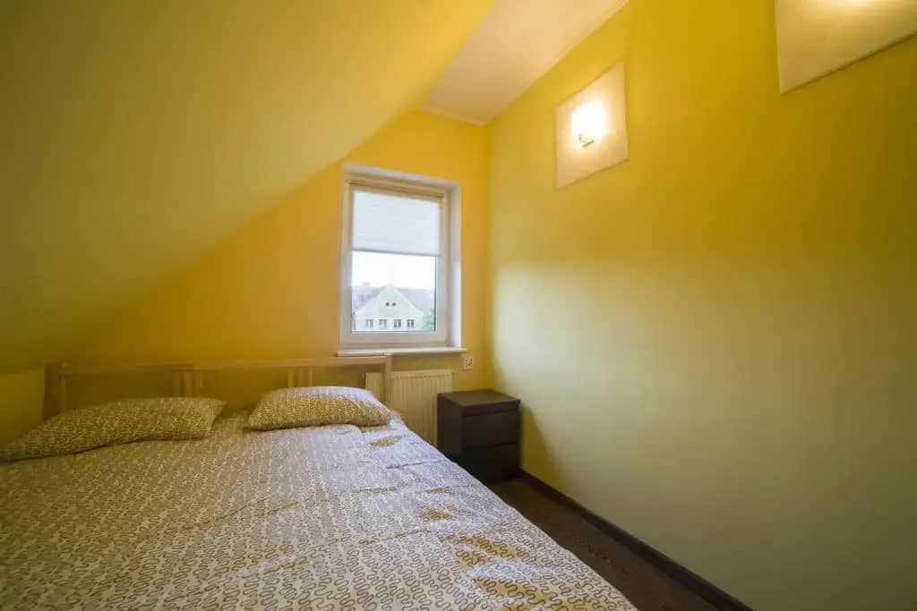 Crazy Dog Hostel: фото 3