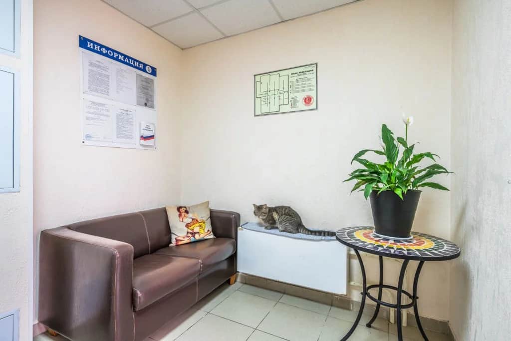 Hostel AntHill: фото 2