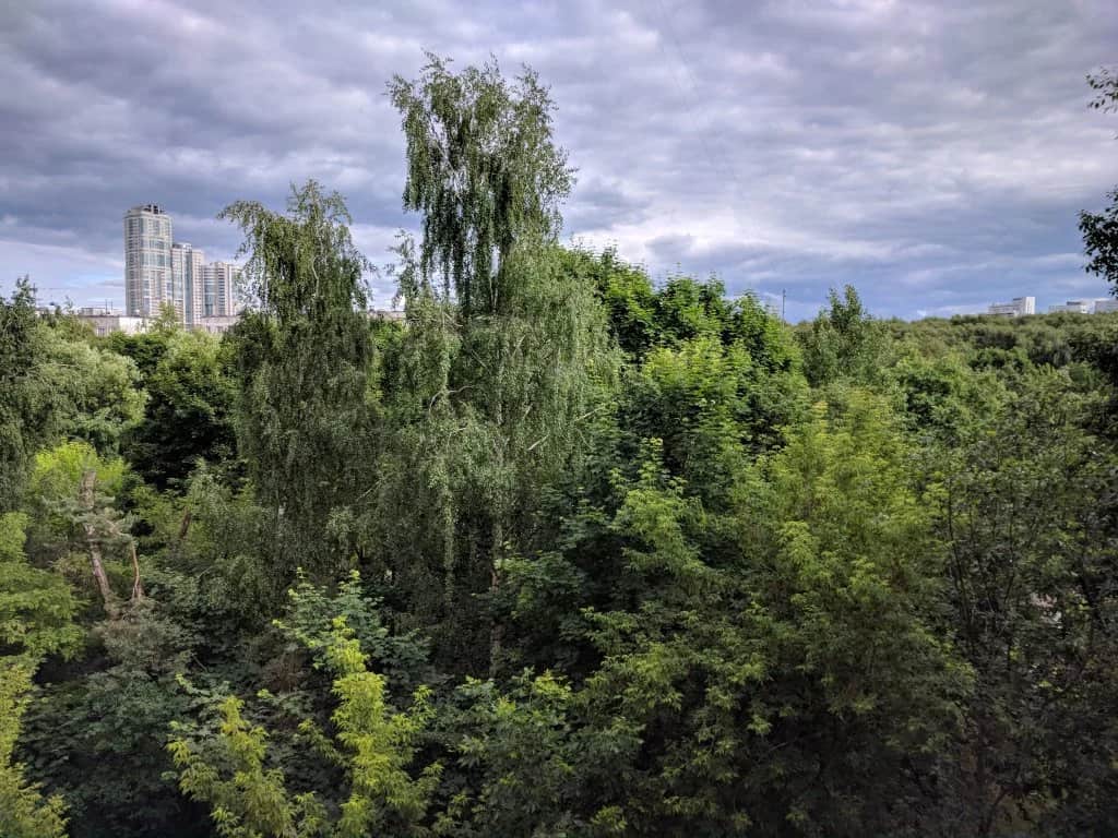 South-West Forest Apartments: фото 2