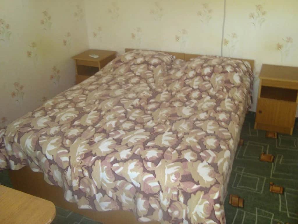 Guest House Apelsin: фото 3