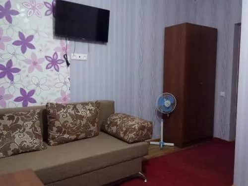 Guesthouse Gus'-Khrustal'nyy: фото 3