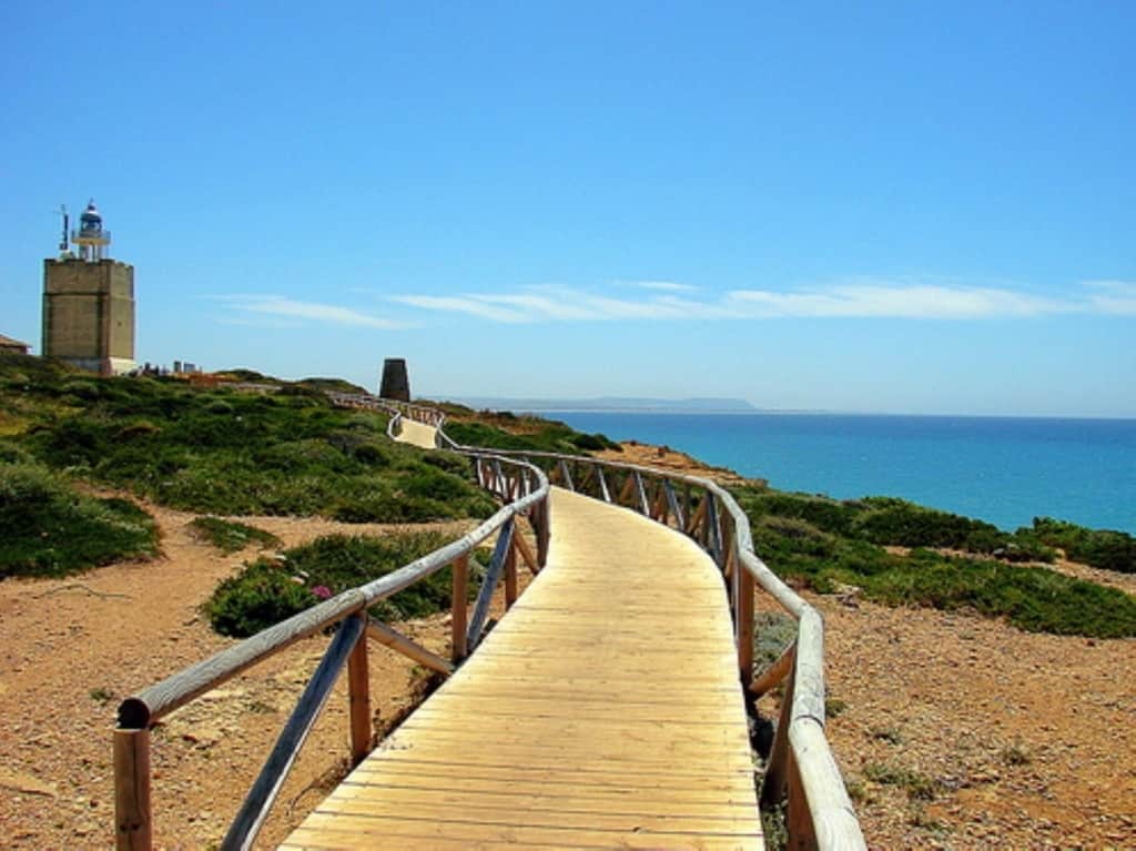 104960 -  House in Conil de la Frontera: фото 2