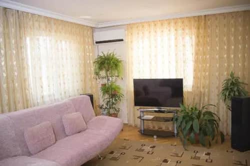 Filin Guest House: фото 3