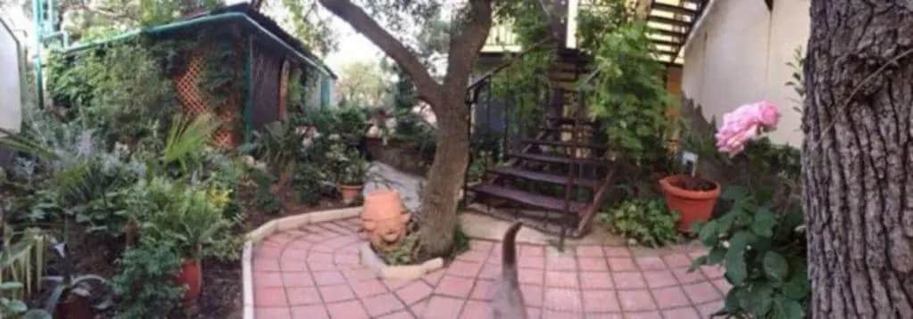 Mayak Guest House: фото 3