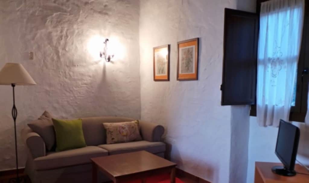 105717 -  House in Santa Lucía de Tirajana: фото 3