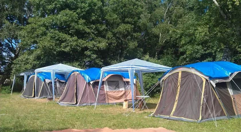 Camping Lesnoy: фото 3