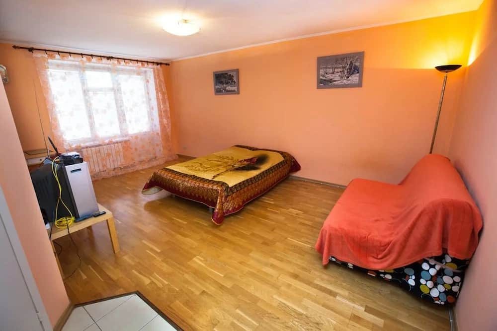 Brusnika Apartment Aeroport: фото 2