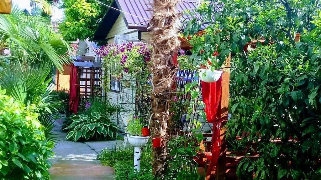 Letniye Domiki Vacation Home: фото 2