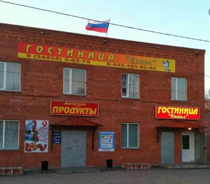 Сокол: фото 2