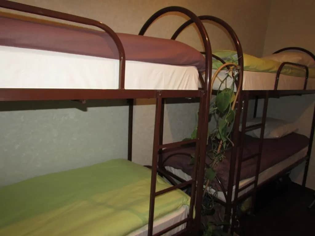 Hostel Izumrudnyy: фото 2