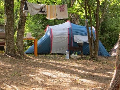Sosnovy Ray Camping: фото 2