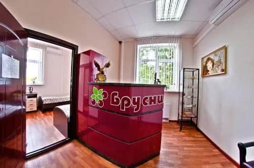 Mini-Hotel Brusnika: фото 2