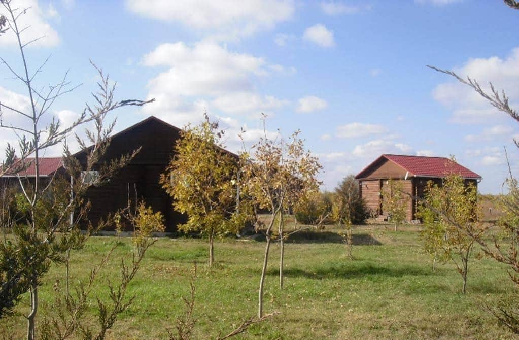 Курорт Рыбалкино: фото 3