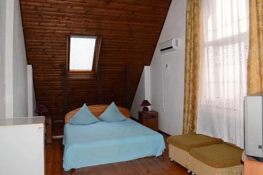 U Vladimira Guesthouse: фото 2