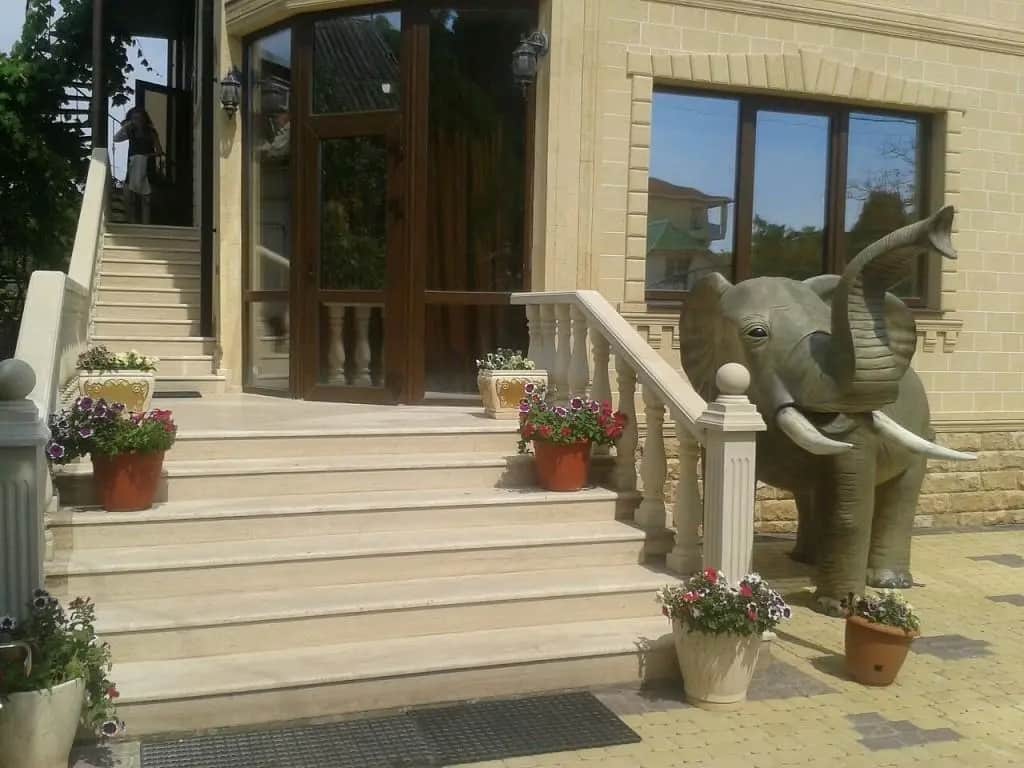 Elephant Guest House: фото 3