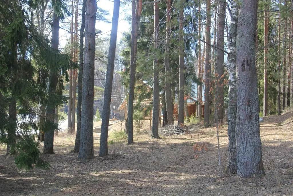 Seliger Cottage: фото 2