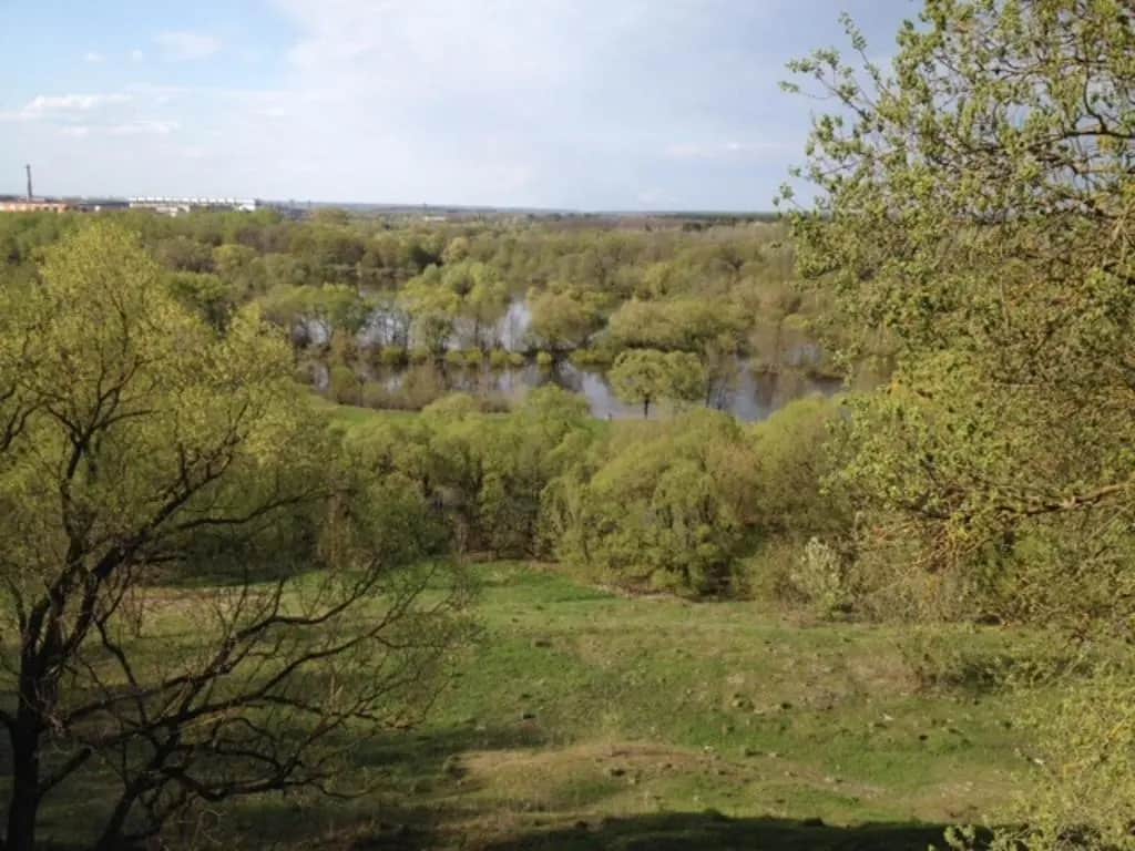 Водолей: фото 2
