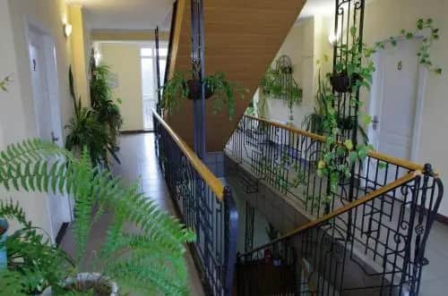 Ковчег: фото 3