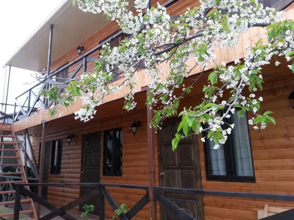 Uyutnyy Guest House: фото 2