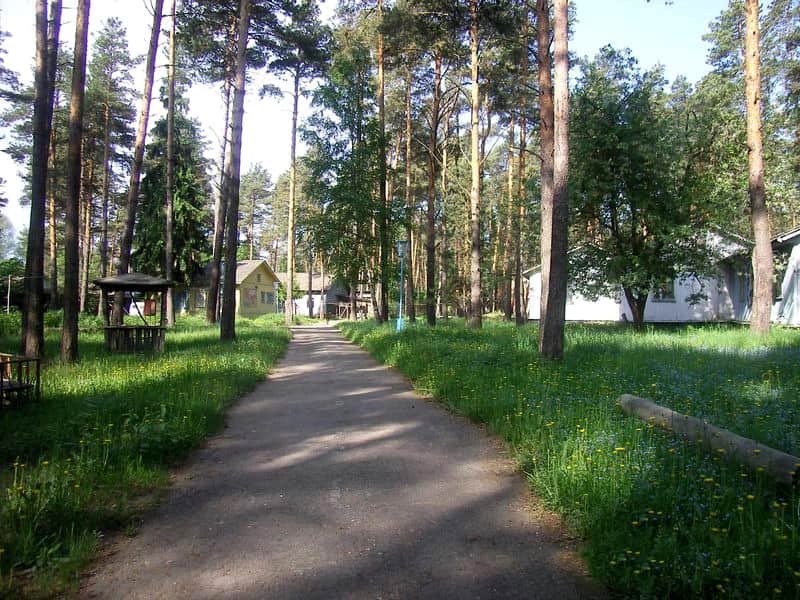 База Отдыха Жёлтая Гора: фото 3