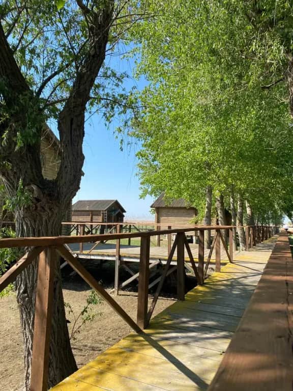 База отдыха Грэй Гуз: фото 2