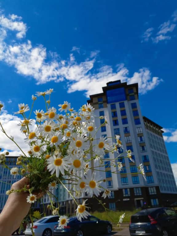 Апарт-отель Начало: фото 2