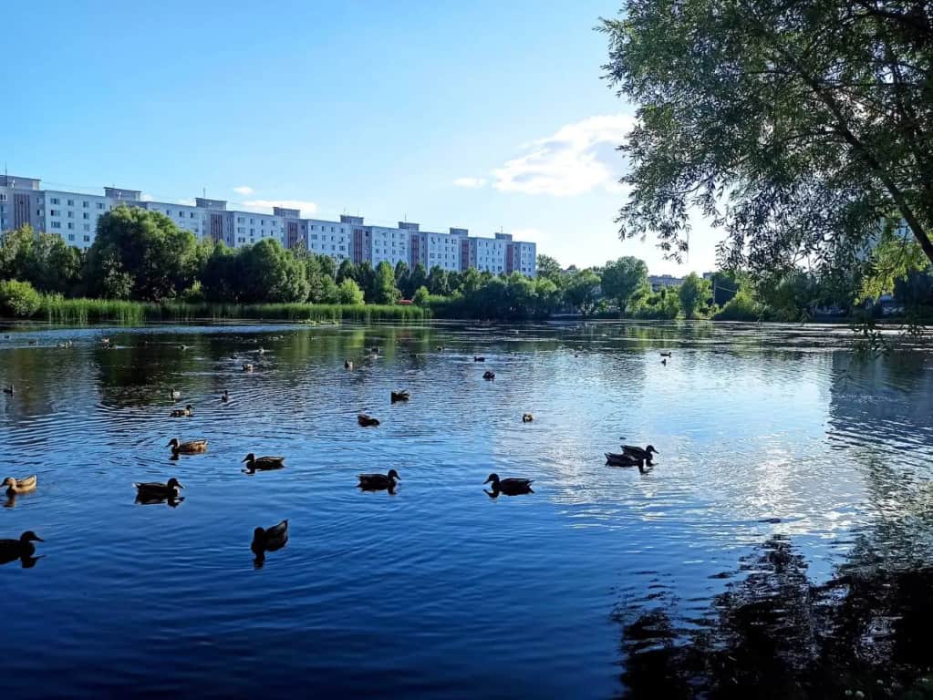 Квартира у озера: фото 2