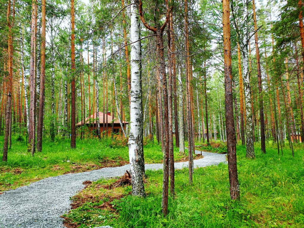 База отдыха Лапландия: фото 2