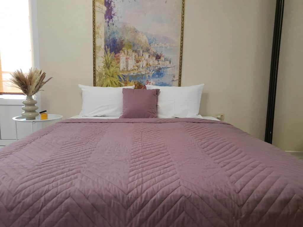 Квартира Однокомнатная квартира в центре  EL HOME: фото 2