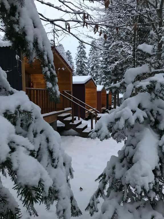 База отдыха Forest house resort: фото 3