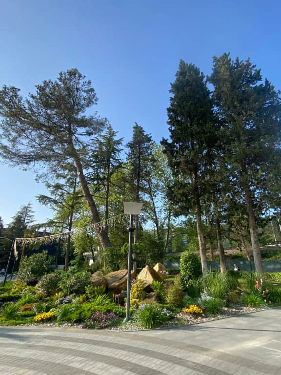 Апартаменты Семейный делюкс в отеле Резорт 4*: фото 3