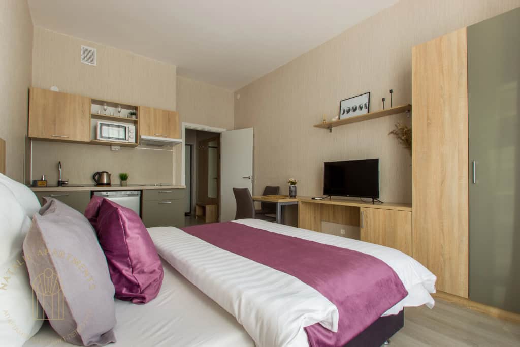 Апартаменты Студия Natalie Apartments Пулковское шоссе 14с6: фото 3