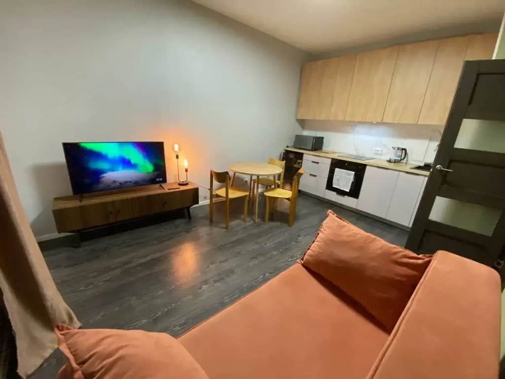 Квартира 1-комн с просторной кухней-гостиной: фото 3