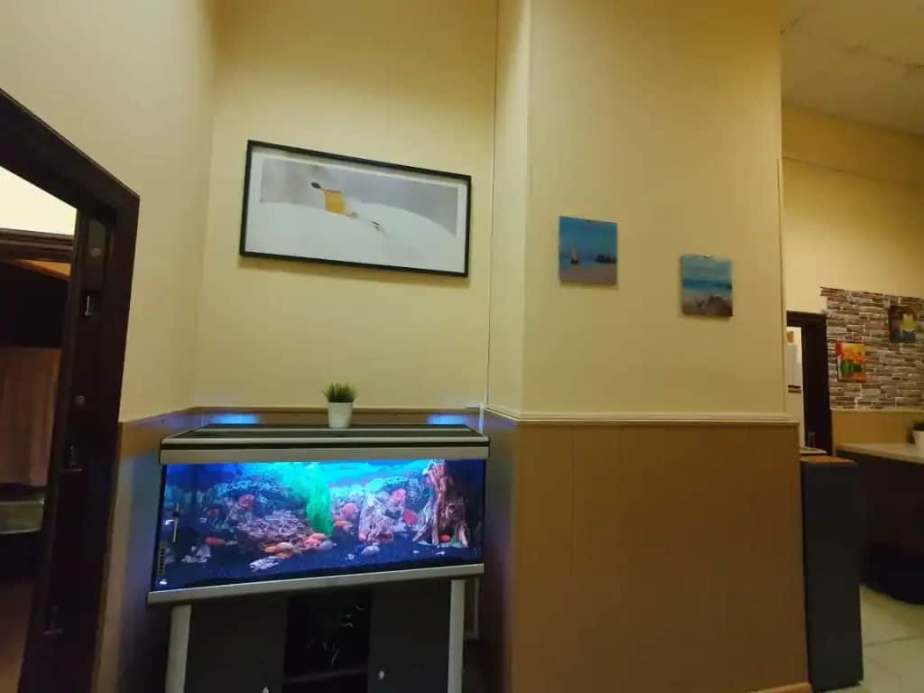 Хостел Ideal home: фото 3