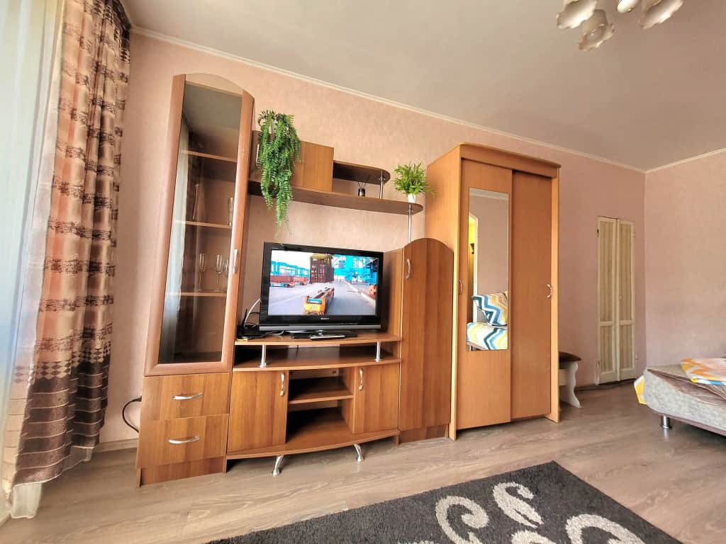 Квартира 1 комнатная на Красноярском рабочем: фото 3