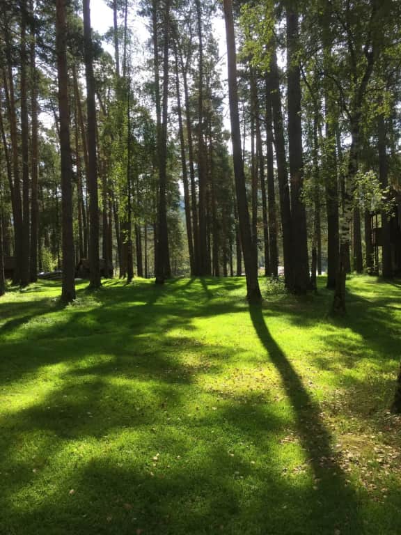 Туристическая база Семинская поляна: фото 2
