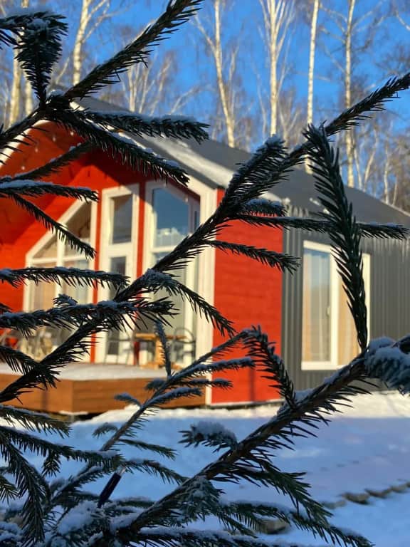 Глэмпинг Лесное Патио: фото 2