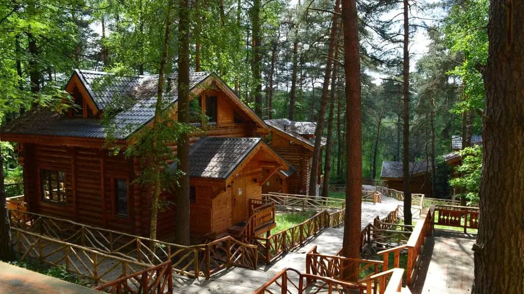 Парк-Отель Нара Эстейт: фото 3