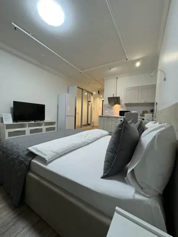 Апартаменты Стандартные с Красивым Видом и Балконом Business Apartments: фото 3