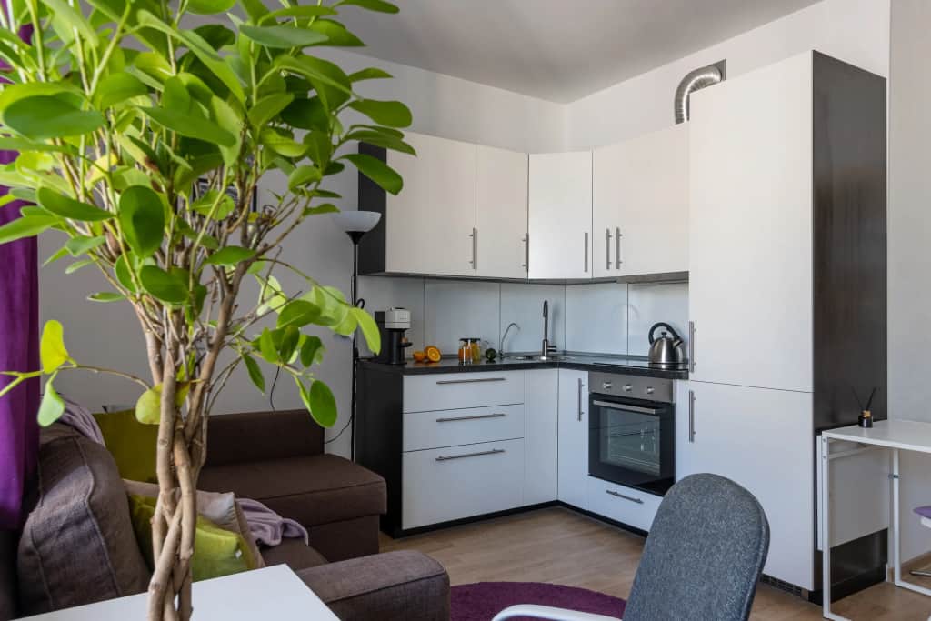 Апартаменты Студия Eliza Home в Кудрово: фото 2