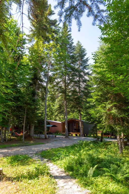 База отдыха Forest house resort: фото 2