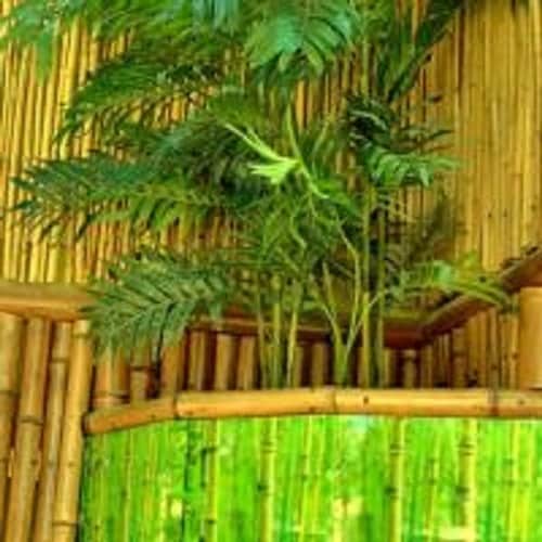 Гостевой дом Bamboo: фото 2