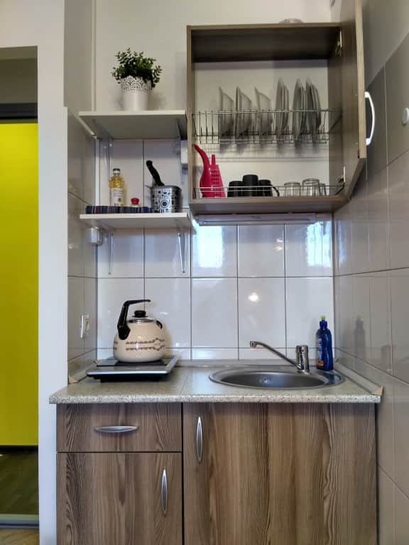 Апартаменты Nice-flats в Андреевке: фото 3