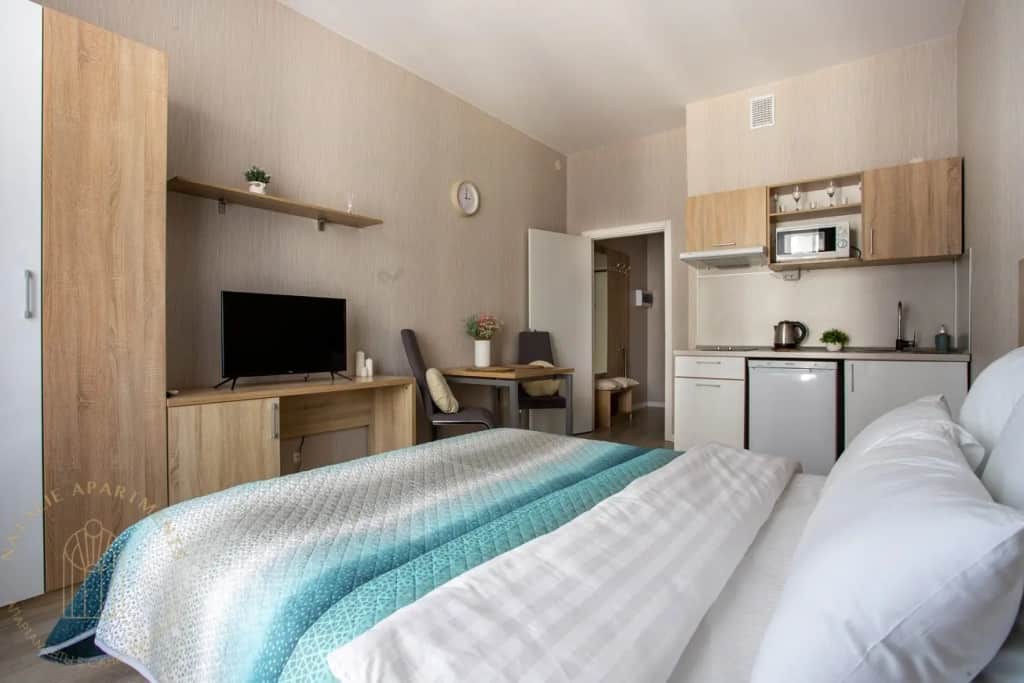 Апартаменты Студия Natalie Apartments Пулковское шоссе 14с6: фото 3